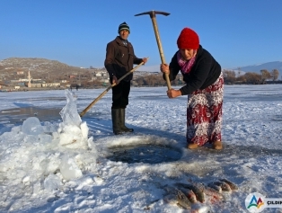 Ardahan Galeri