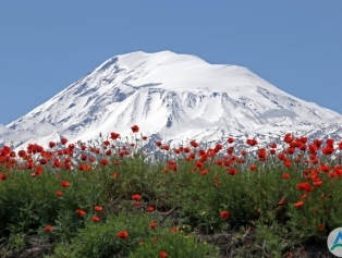 Iğdır Galeri