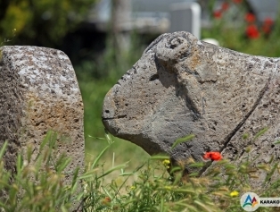 Iğdır Galeri